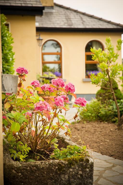 Cahergal Farmhouse B&B Newmarket-on-Fergus Exterior foto